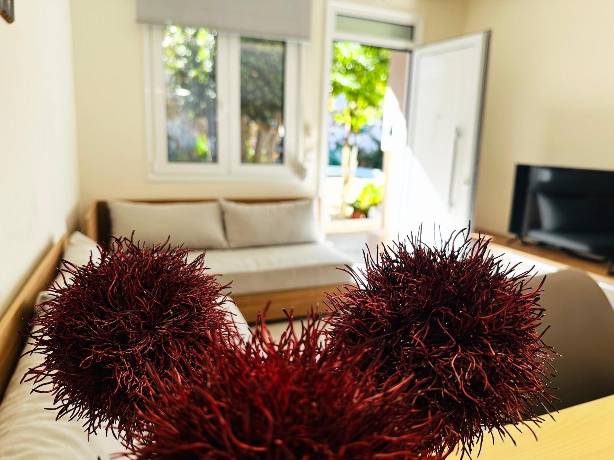 Matina Room Chania  Zewnętrze zdjęcie